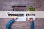 河南宝鸡网站建设情况（宝鸡门户网）